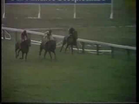 Ten Up 1975 Cheltenham Gold Cup