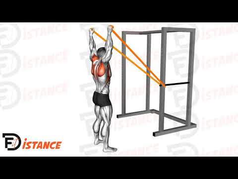 Exercice Développé Y avec élastique