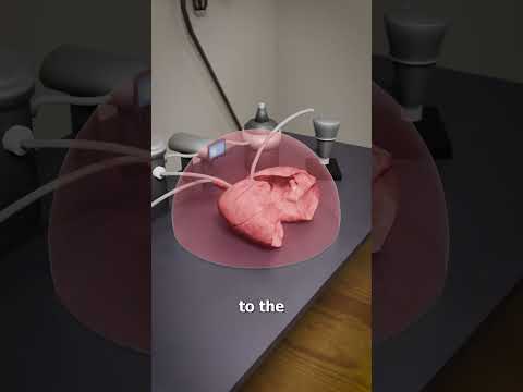 How Donor Lungs Are Kept Fresh 🤨