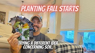 Cool-Season Crops: Starting My Fall Starts! || DHBG