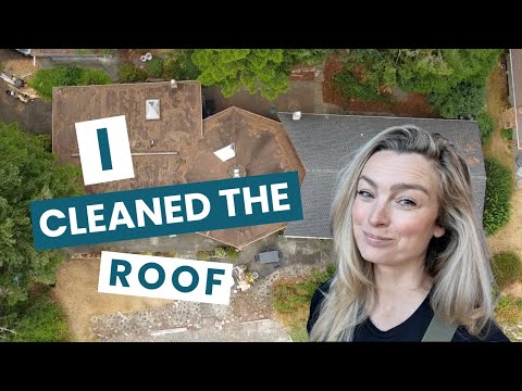 Tackling Our Dream Home Renovation from the Top Down [ep. 6]
