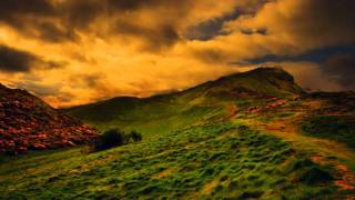 Whisper # 7 Reading Curragh of Kildare