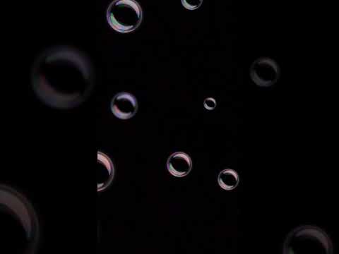 Ceren DÜZOVA - Fatih GÖRCÜN //Karanfil