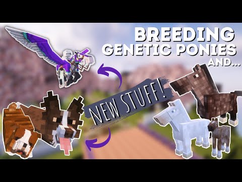 Ultimate Minecraft Horse Breeding and Mod Showcase!