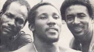 Toots &amp; The Maytals - Never You Change