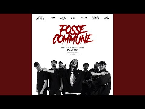 Fosse commune