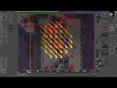 RP 631 Hunt Solo Azzilon Castle 7.25kk raw (7.7kk peak) - Tibia
