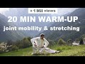20 MIN TAI CHI WARM UP AND STRETCH Joint Mobility Stretching Relaxation As An Anti Aging System