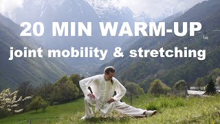 20 MIN TAI CHI WARM UP AND STRETCH - Joint Mobilit