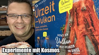 Urzeit-Vulkan (Kosmos) Infos zum Vulkanausbruch - Experimentierkasten - ab 8 Jahren