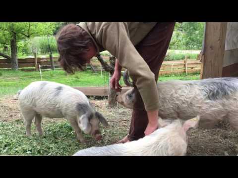 Unsere 9. Reise: Mühlbach – ein Rückblick