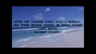 Mermaid at anuta-Footage by DN Crews