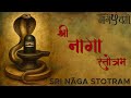 Powerful PROTECTION Mantra For All Shiva Devotees Sri Naga Stotram Naag Panchami Special Sawan