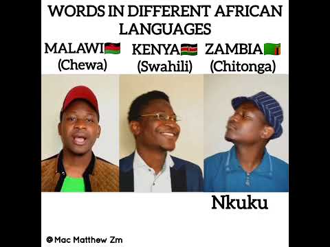 Words in different African languages Episode 3