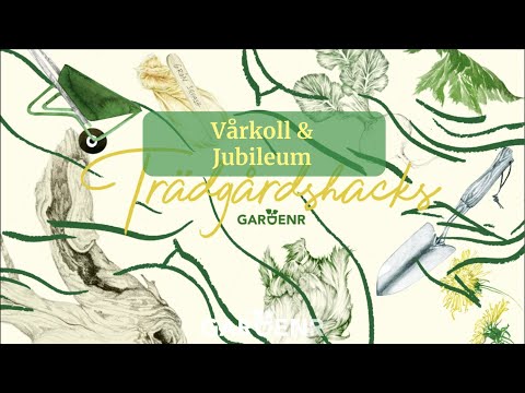 Springcheck and Anniversary - Gardenhacks by GardenR