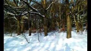 preview picture of video 'Rivington (Roynton Lane) in the snow of 2010'