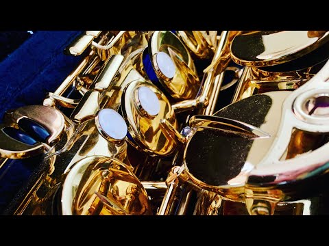 Ladies love the sound of a saxophone Feat: Dirty D