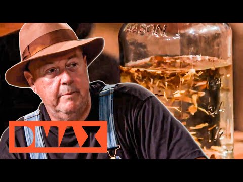 Pastis: Absinths trickreiche Schwester | Moonshiners: Die Masterdistiller | DMAX Deutschland