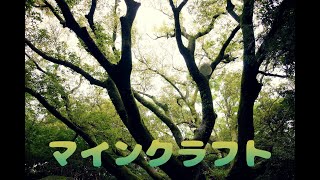 【マイクラ】いきなりエンドラ討伐は無理とわからせられた