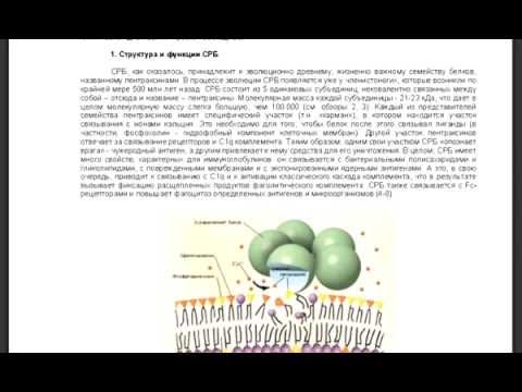 Почему болит вся левая сторона спины Бандаж для фиксации коленного сустава отзывы