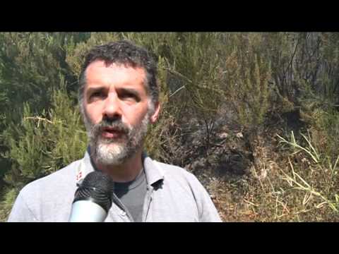 MIGLIORA LA SITUAZIONE DELL'INCENDIO SOPRA PISTOIA