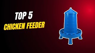 Best Chicken Feeders of 2026 – Top Models for Easy Feeding
