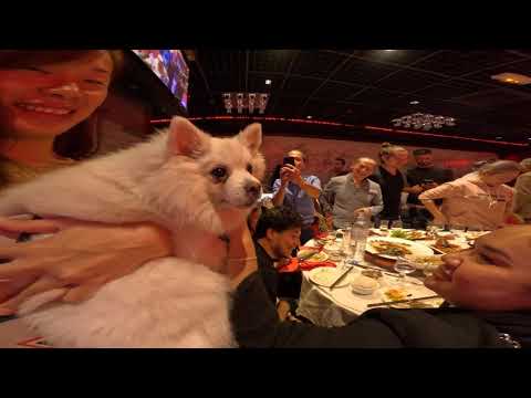 2022.10.08 Paris dinner