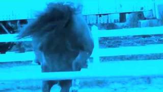 Jumpsmokers Drunk Girls In Da Club