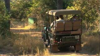 preview picture of video 'On Safari with the Bushcamp Company, South Luangwa National Park, Zambia, Africa'