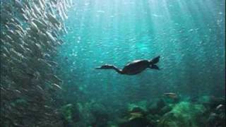 rantoul - deep water