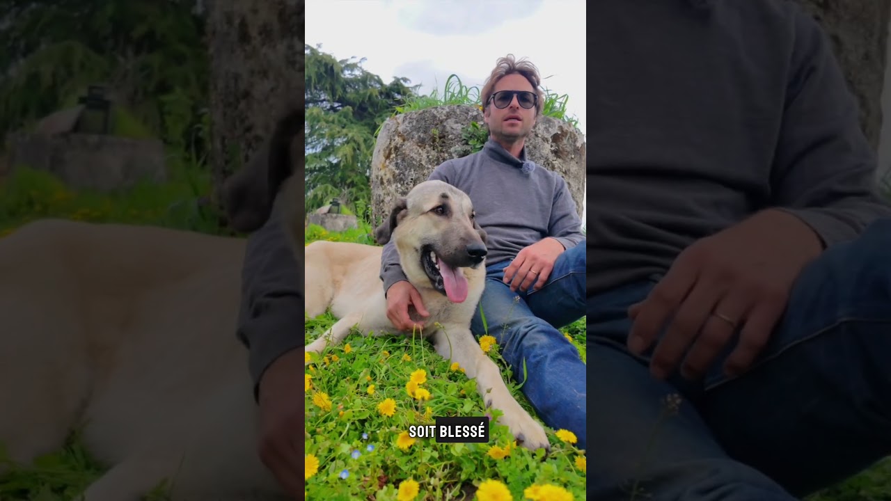 Fabien Claude-Storz — ton corps c'est comme ton chien