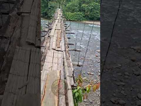 puente colgante en belen de los andaquies Caquetá #campo #campesinos