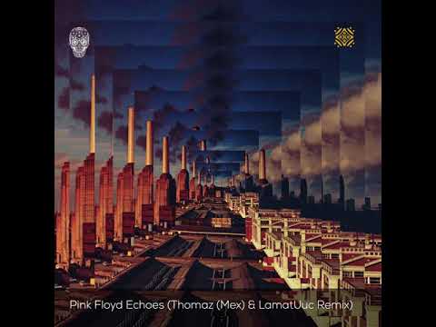 Pink Floyd Echoes   Thomaz & LamatUuc Remix