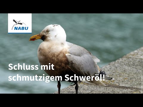 Vorschaubild Video