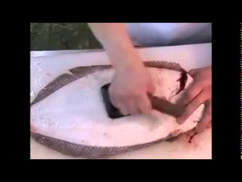 Fish scaler demonstration