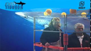 DIA 2 Expo Tiburon78