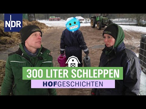 Die Tränken sind eingefroren - Roomservice für die Schweine | Hofgeschichten (367) | NDR