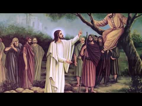 ZAQUEU, DESCE DEPRESSA - Música: Ferreira dos Santos - Harmonização: Sílvio Vicente