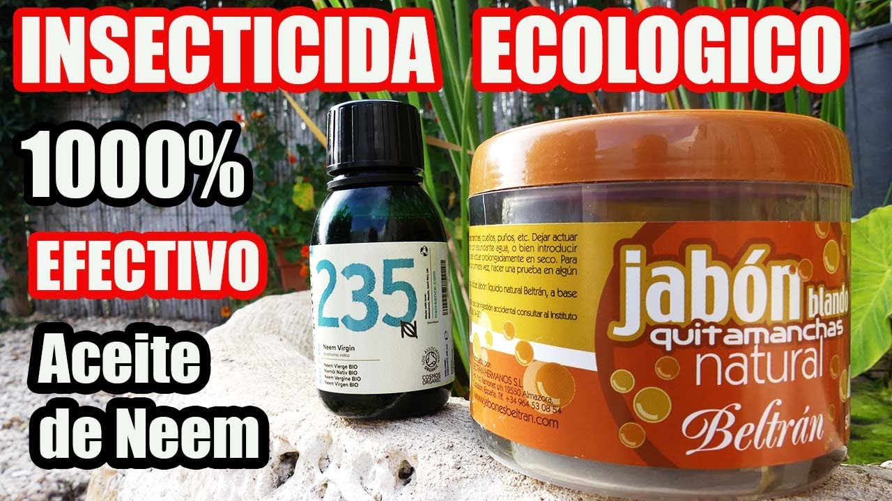 INSECTICIDA Natural con ACEITE de NEEM y JABON POTASICO