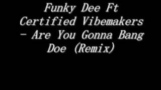 Funky Dee Ft Certified Vibemakers Are You Gonna Bang Doe rmx