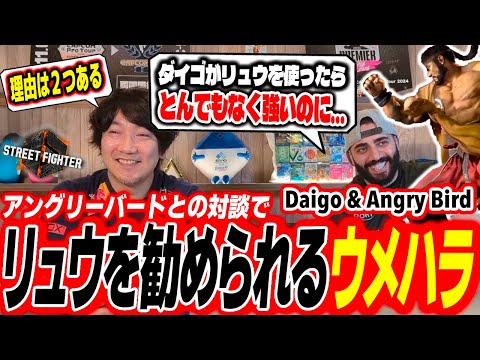 Daigo & Angry Bird Chat - Angry Bird encourages Daigo to switch to Ryu【Daigo Umehara】【clip】【SF6】