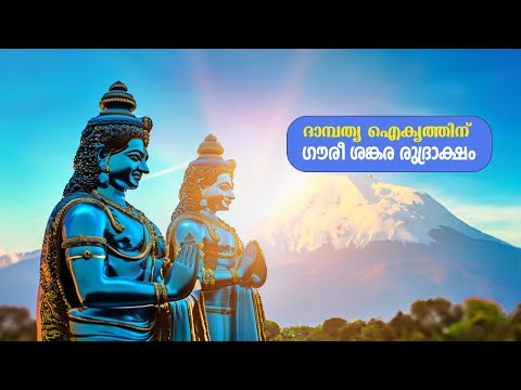 ഗൗരീ ശങ്കര രുദ്രാക്ഷം അറിയേണ്ടതെല്ലാം  | All about Gauri shankara rudraksham
