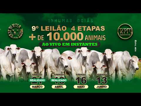 9º LEILÃO 4 ETAPAS - VALE DO MEIA PONTE - INHUMAS - LEILÃO VIRTUAL E PRESENC. - 16 DE MAIO DE 2026.