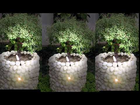 Guru guru jap re gurujaap