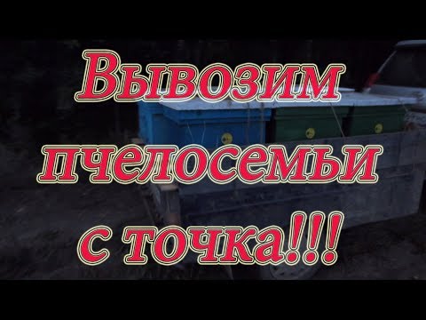 ВЫВОЗКА ПЧЁЛ С КОЧЁВКИ, дальнего точка №2 УРА!!! НАКОНЕЦ ТО ДОМОЙ!!!Beekeeping.🔥🔥🔥