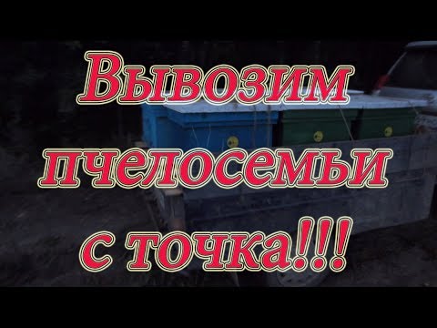 ВЫВОЗКА ПЧЁЛ С КОЧЁВКИ, дальнего точка №2 УРА!!! НАКОНЕЦ ТО ДОМОЙ!!!Beekeeping.🔥🔥🔥