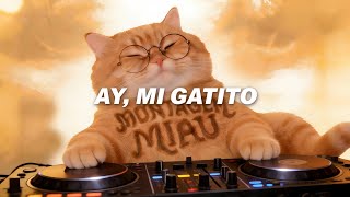 Download lagu Ay mi gatito miau miau - MONTAGEM MIAU lyrics (Lyrics) #catlovers #trending #funny mp3