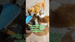 Download lagu 😂ada poma summa vathutu 😂 #comedy #funny #trending #shorts mp3