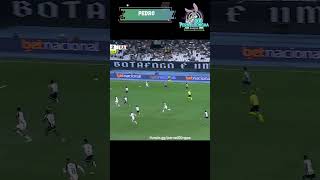 Gol do Flamengo - Pedro (Botafogo 0x3 Flamengo) Brasileirão 14/03/2026