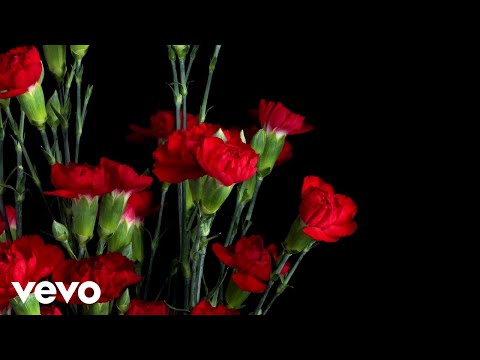 LeRoy Stoltzfus - Flowers In Spring (Lyric Video)